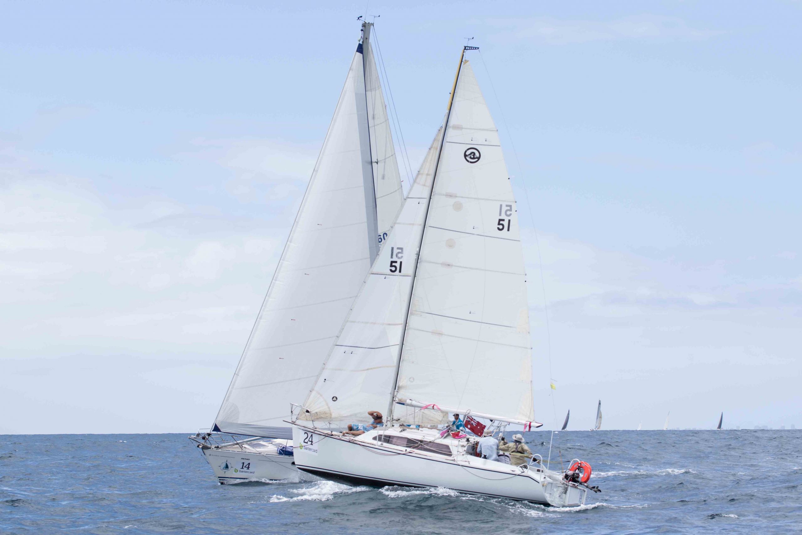 seattle sailing club fleet